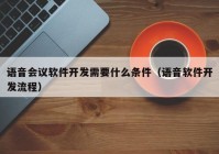 语音会议软件开发需要什么条件（语音软件开发流程）