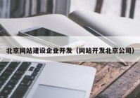 北京网站建设企业开发（网站开发北京公司）