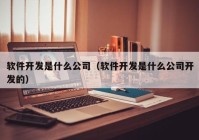 软件开发是什么公司（软件开发是什么公司开发的）