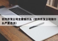 软件开发公司主要做什么（软件开发公司做什么严重违法）