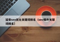 延安seo优化关键词排名（seo提升关键词排名）